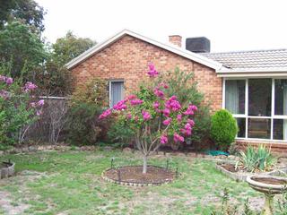 Side of house (2007-04-16)