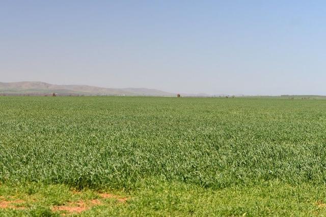 SECTION 121 Orroroo Road, SA 5431