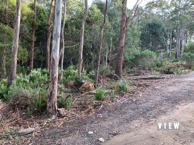 71 Gillies Road, TAS 7215