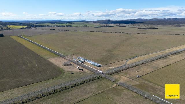 1152 Hoskinstown Road, NSW 2621