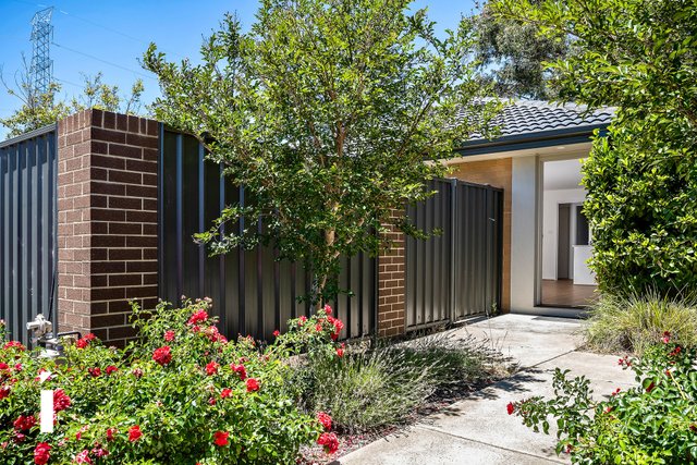 14/68 Lorraway Street, ACT 2615