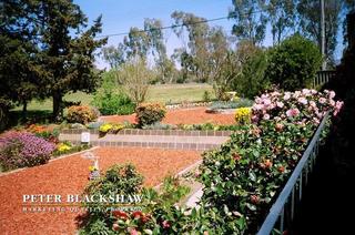 Garden in Spring