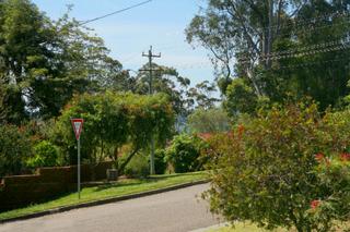 View of street