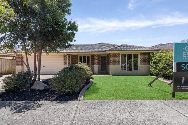 4 Dan Morgan Drive, VIC 3977