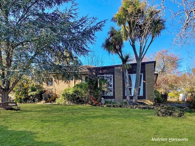 8 Levy Street, VIC 3310