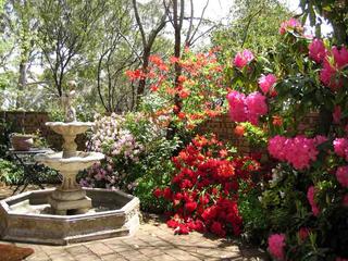 Courtyard Garden