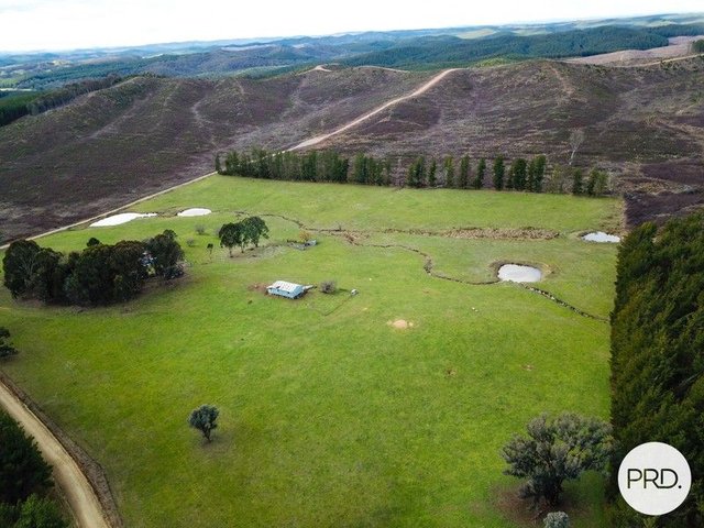 233 Logans Road, NSW 2653