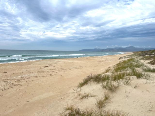 21 Scamander Avenue, TAS 7215