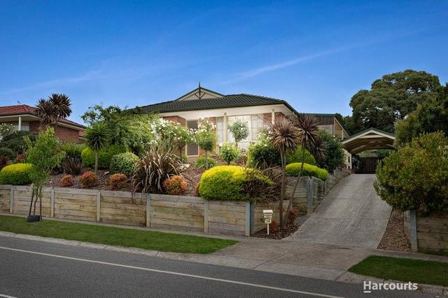 24 Ash Crescent, VIC 3810