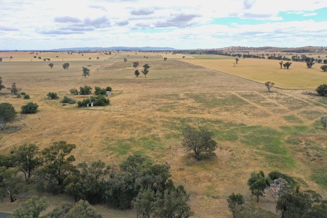 1674 Tubbul Road Tubbul Via, NSW 2594