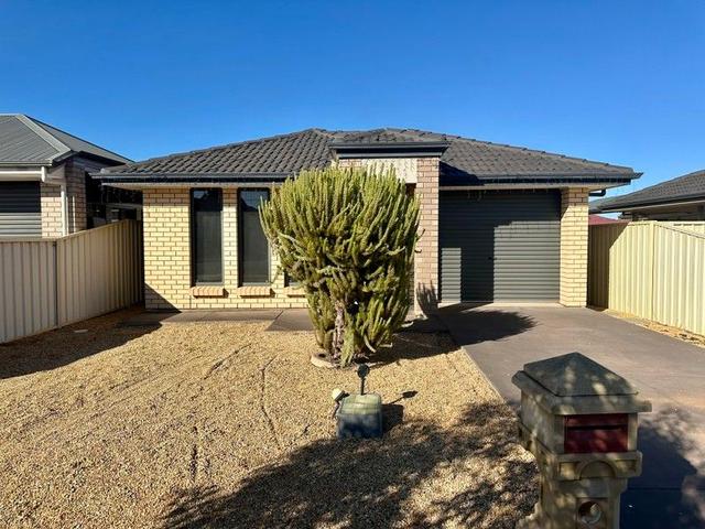 95D Newton Street, SA 5600