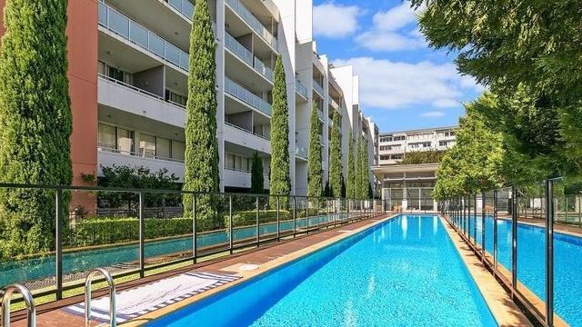 162/37 Morley Avenue, NSW 2018