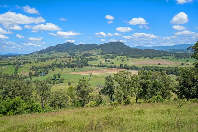 264 Bowman Farm Road, NSW 2422