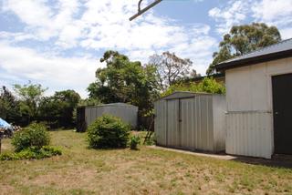 Backyard (2015-12-02)