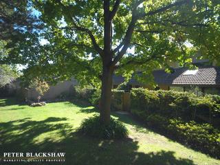 Rear of No 11 Mountbatten Park (2019-05-23)