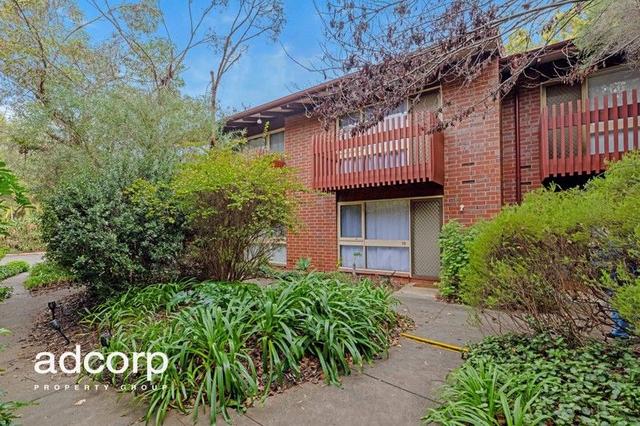 12/36 Trevelyn St, SA 5034