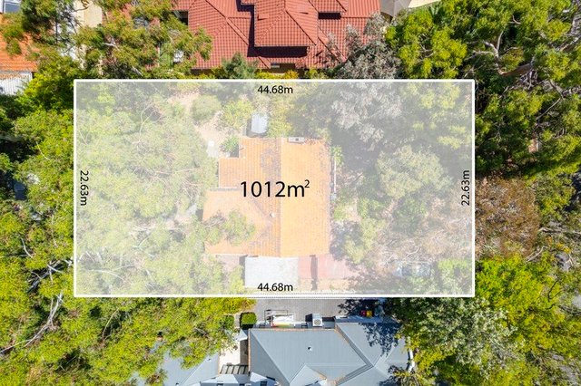 6 Hotchin Street, WA 6009