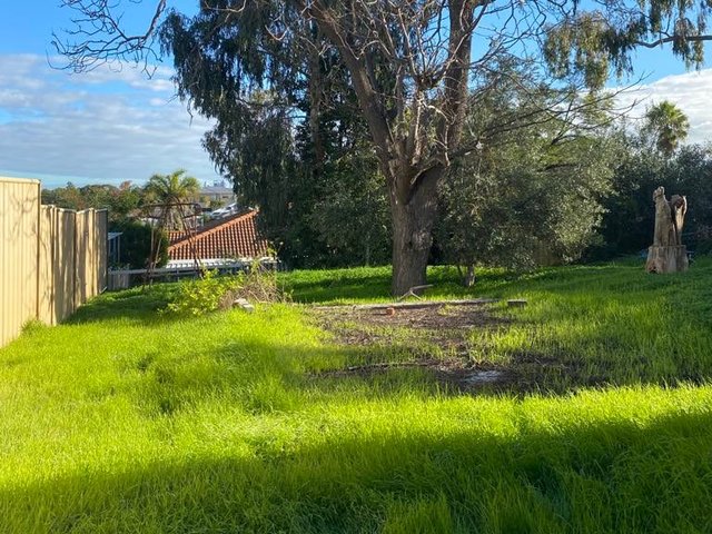 25A Drynan Street, WA 6053