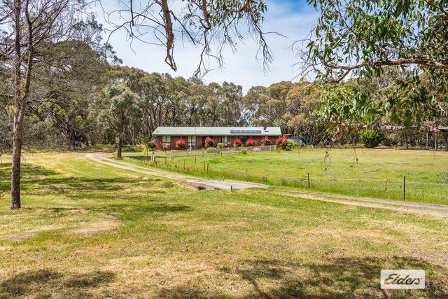 37 Dettmanns Lane, VIC 3444