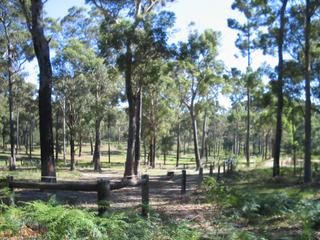 Land (2008-03-17)