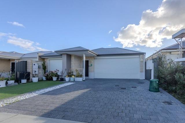 8 Butterleaf Avenue, WA 6035
