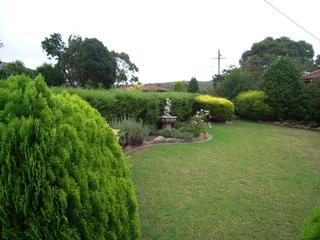 Frontyard