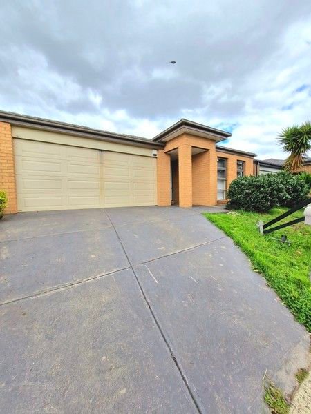 65 Chlorinda Road, VIC 3029