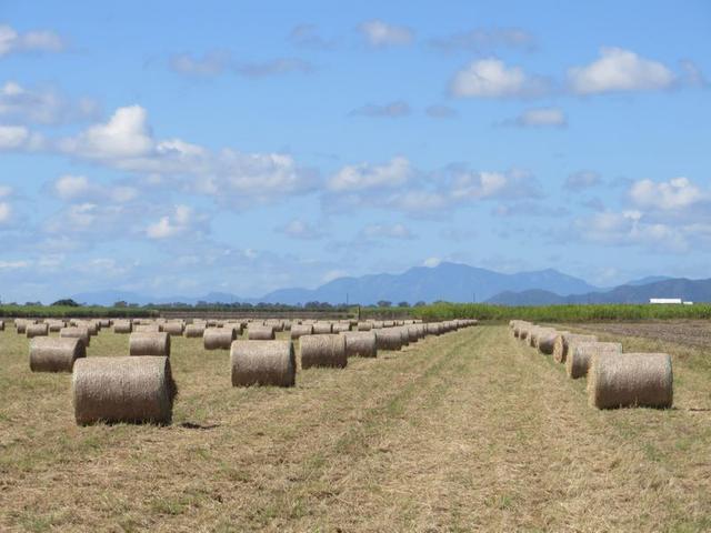 (no street name provided), QLD 4806