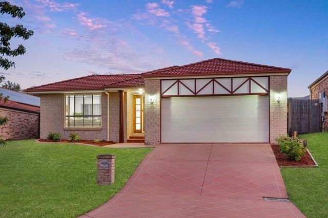 20 Woodglen Street, QLD 4112