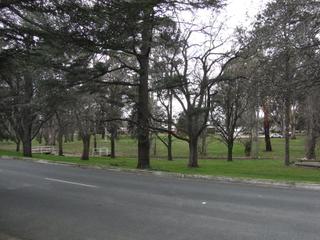 View of Telopea Park