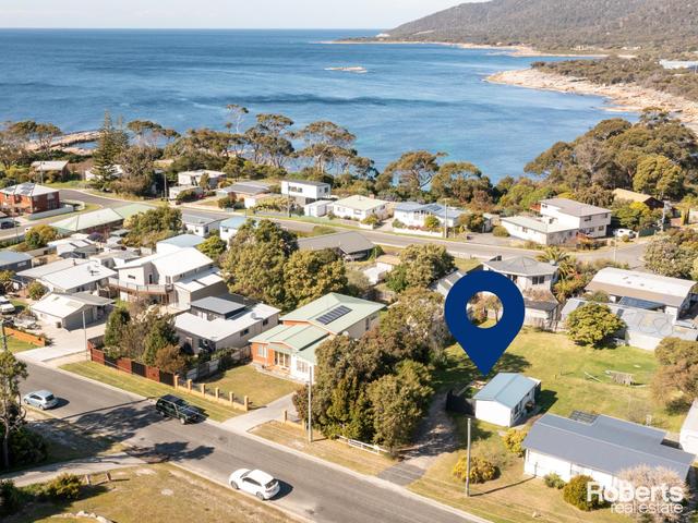 11 Douglas Street, TAS 7215