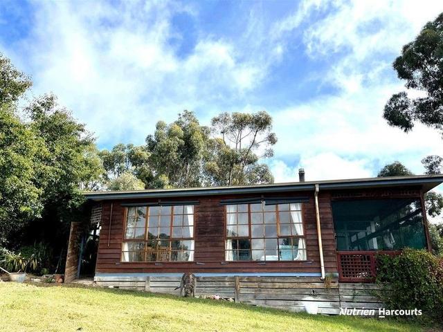 23 McEvoy Street, VIC 3311