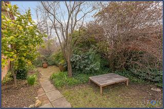 Rear Yard (2013-08-08)