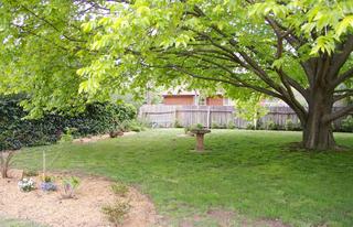 Rear yard (2007-11-09)