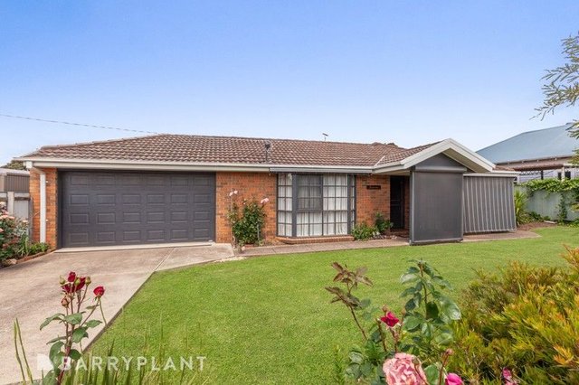 38 Hamilton Street, VIC 3764