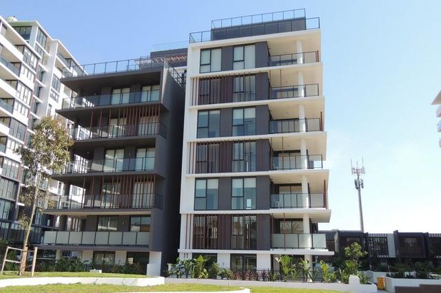 305/11 Garrigarrang Avenue, NSW 2217