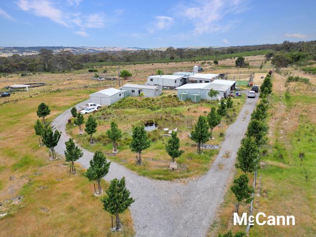 185 Bushs Lane (Dalton), NSW 2581
