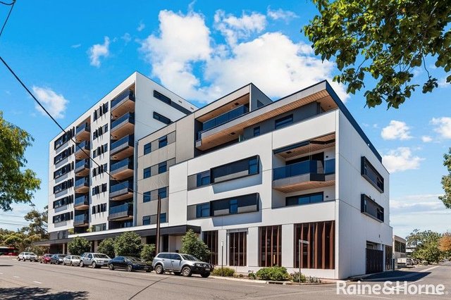 104/56 Greenhill Road, SA 5034