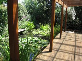 Decking and Pond