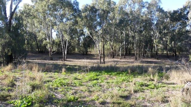 Lot 10 Oxley Highway, NSW 2824