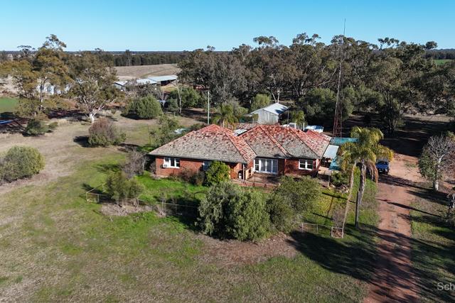 195 Curra Lane, NSW 2869