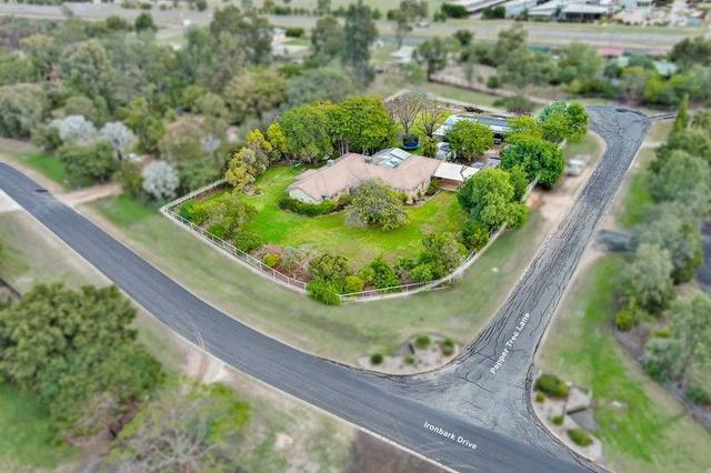 1 Peppertree Lane, QLD 4720