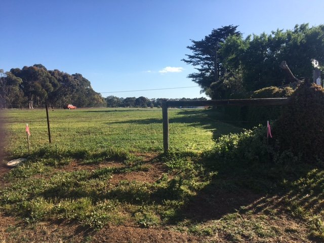 83 Curletts Road, VIC 3212