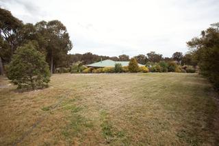 Backyard (2013-08-14)