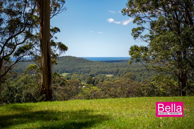 Lot 1 Monkey Mountain Road, NSW 2539