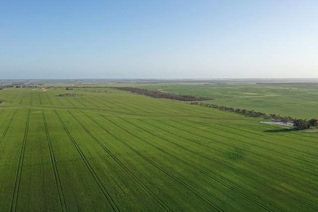 Nyabing Road South, WA 6341