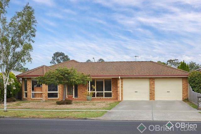 127 Normanby Street, VIC 3820