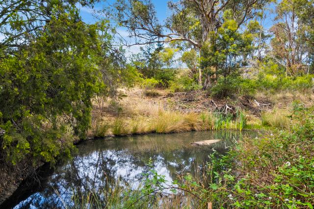 Aldridge Road, TAS 7172