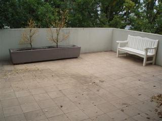 Patio (2013-09-03)
