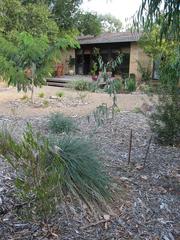 Back garden & deck